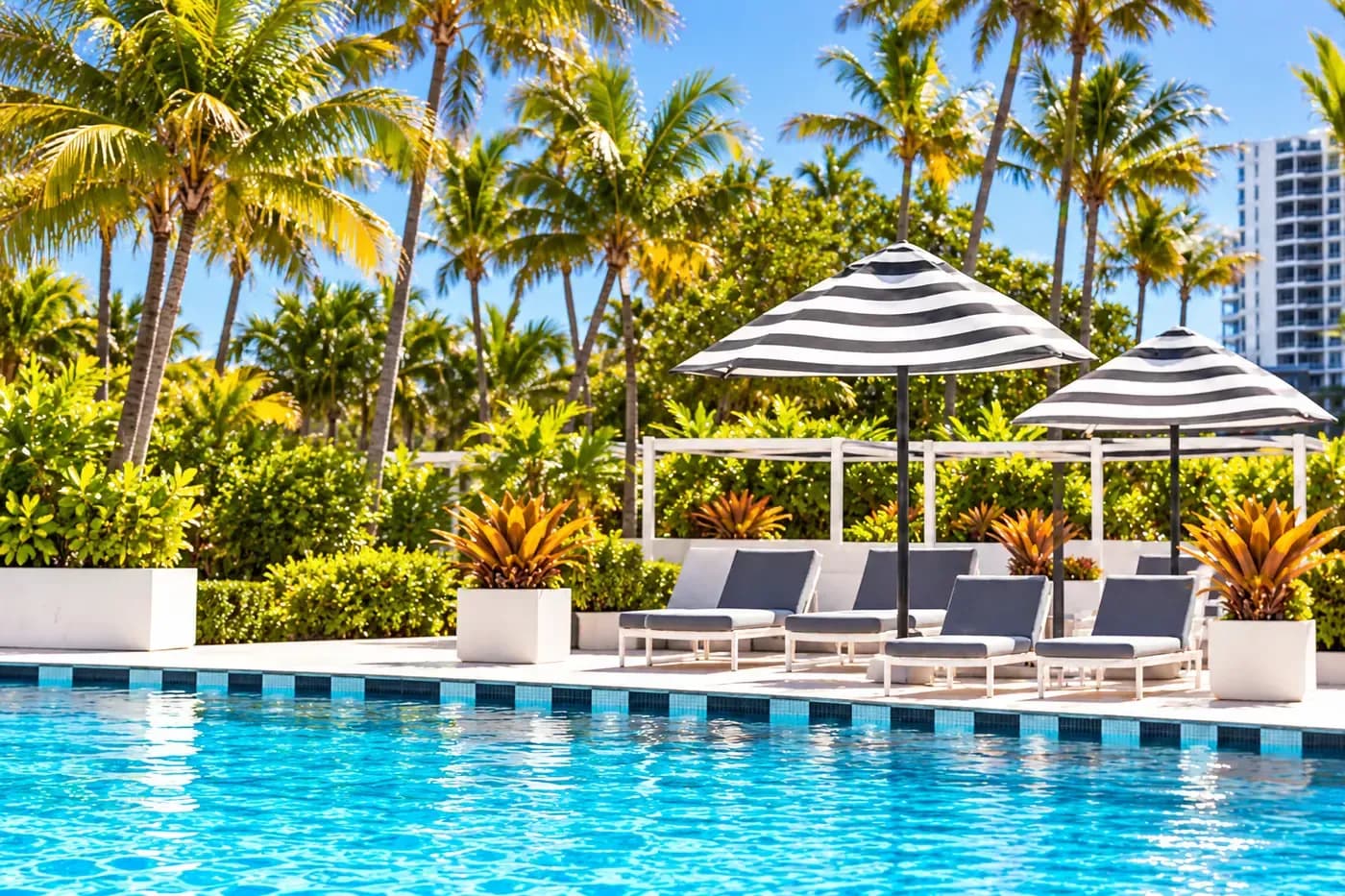 A sunlit hotel pool with striped parasols and palms